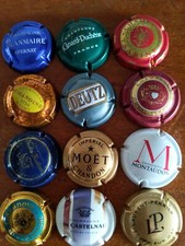 capsules champagne 12 différentes dont De Castelnau, Deutz lot N°4