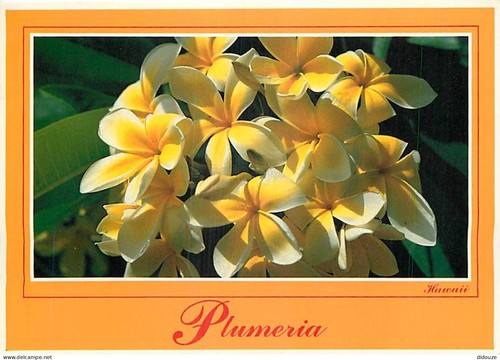 Carte postale etats - -,