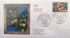 FRANCE FDC 1er Jour 3882 Portrait Région Mirabelle NANCY