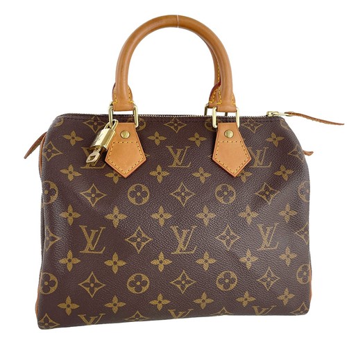 Sac main louis vuitton - sac,