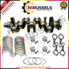 VILEBREQUIN NITRATE AVEC