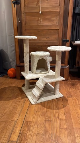 Grand arbre chat avec trois - à,