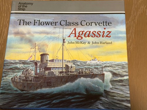 Anatomy the ship flower - anatomy,