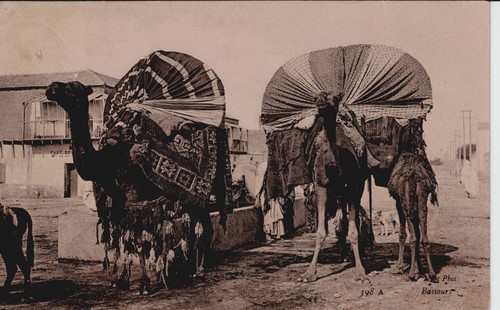 Carte postale d algerie - -, d'algerie