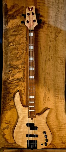 Bass guitar string fodera - guitar,