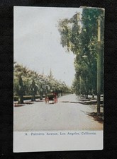 1909 " Palmier Nain Avenue "