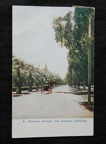 1909 palmier nain avenue - 1909,