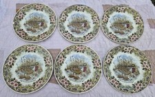 6 Assiettes Plates Faience Anglaise Décor Canards