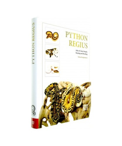 Python regius atlas colour - python, of