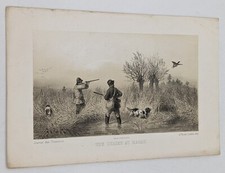 Gravure Chasse Chiens : UNE CHASSE AU MARAIS, XIXe siècle.