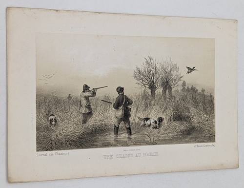 Gravure chasse chiens - chiens, une