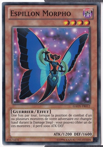 Espillon morpho 2ème édition - espillon,