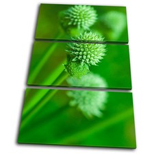 Canvas Artwork Picture Print