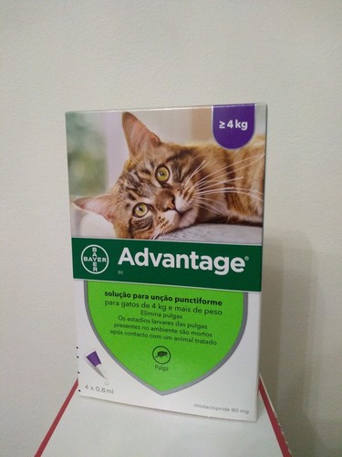 Advantage anti puce chat - puce,