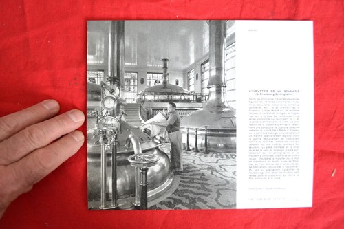 Planche photographique - ,