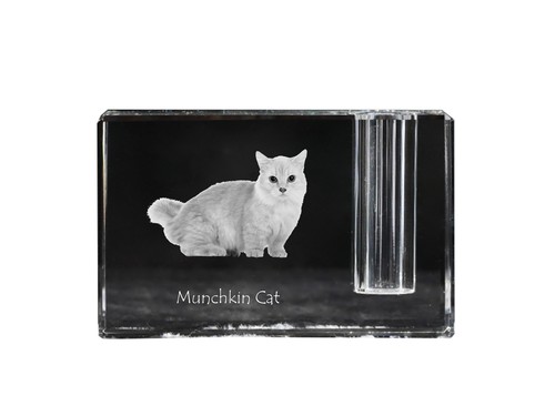 Chat munchkin porte - chat, porte-plume