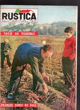 RUSTICA N°7 1961 vignoble
