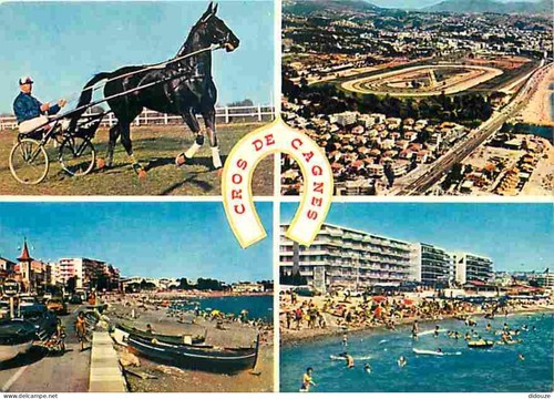 Carte postale animaux - carte,