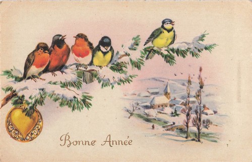 Illustree bonne annee - illustree,