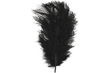 Plume d’autruche, noir, 1