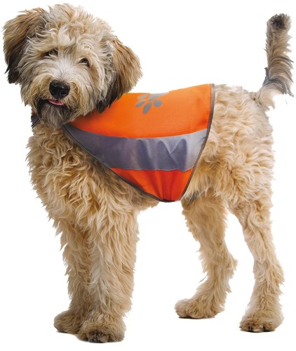 Veste réfléchissante pour