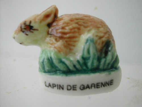 Fève lapin de garenne - de,
