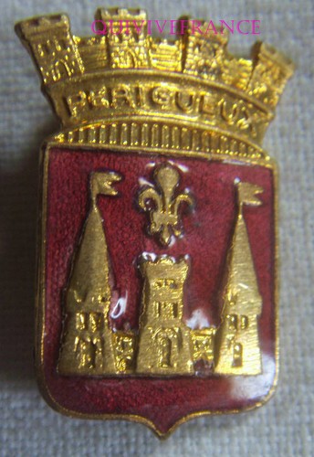 Bg14309 insigne badge - bg14309, blason