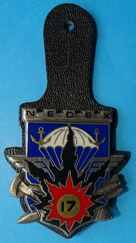 Insigne nedex - insigne,
