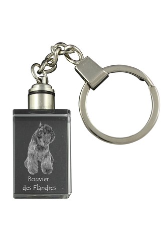 Bouvier des flandres - des,