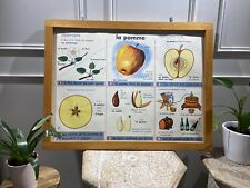 Carte Affiche Scolaire MDI 