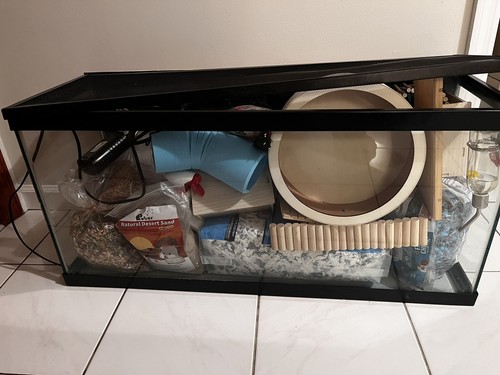 Hamster cage and - hamster,