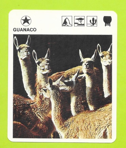 Fiche livre paris - -,
