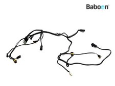 Faisceau de câblage Ducati