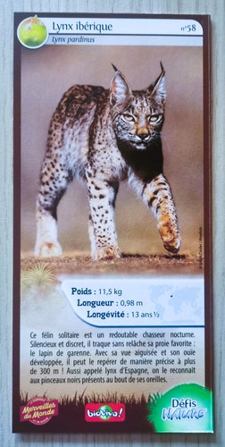 Carte merveilles monde - merveilles,
