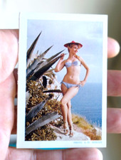 Vintage mini calendrier sexy - vintage,