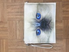Animal blue eye - blue, cat