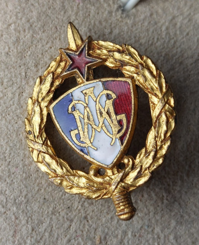 Ancienne insigne médaille - ancienne,