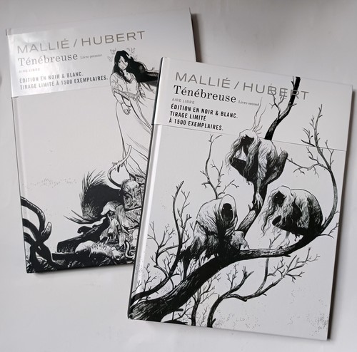 Lot ténébreuse tomes - lot,