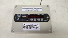 Module, Tuner FM, Lecteur MP3