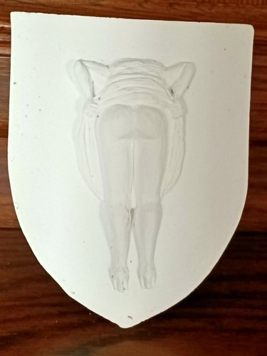 Blason embrasse fanny - blason,