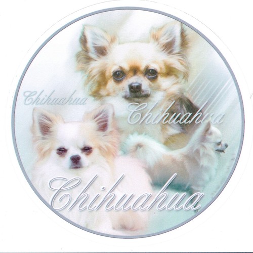 Autocollants design chihuahua - autocollants,
