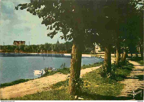 Carte postale vigneux - postale,