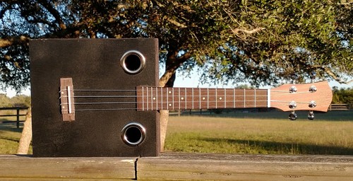 Cigar box ukulele - cigar,
