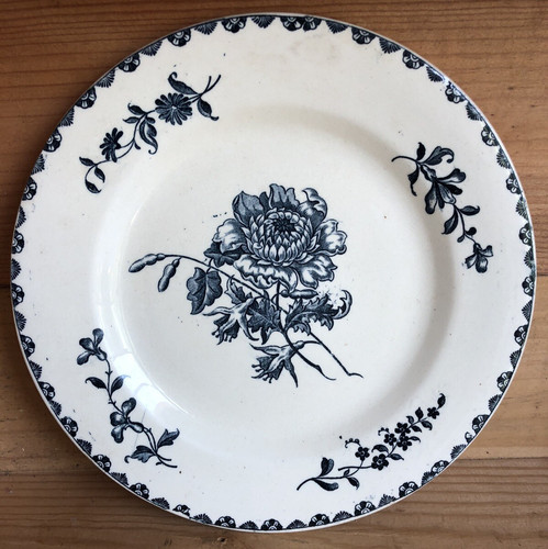 Assiette terre fer - de, salins