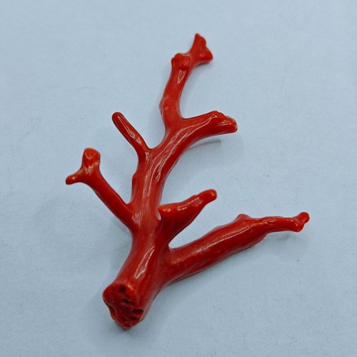 Bâton branche brute - bâton, polie