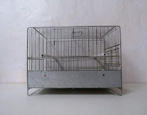 Cage oiseau zinc métal - à,