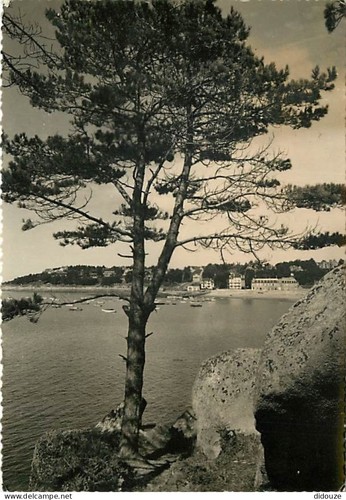 Carte postale - carte,