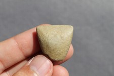 Préhistoire Néolithique