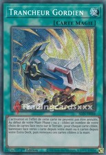 Yu-Gi-Oh! Trancheur Gordien : SE ALIN-FR066