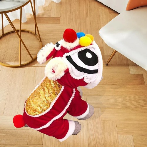 Costume nouvel chinois - costume,